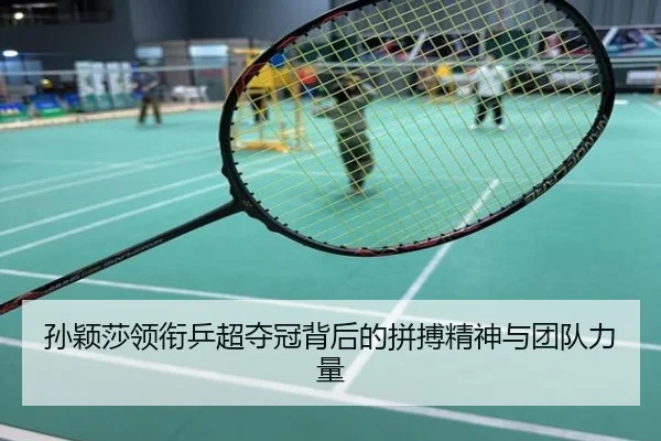 孙颖莎领衔乒超夺冠背后的拼搏精神与团队力量