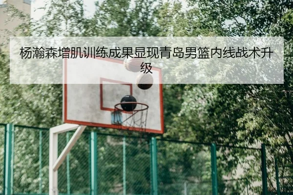 杨瀚森增肌训练成果显现青岛男篮内线战术升级